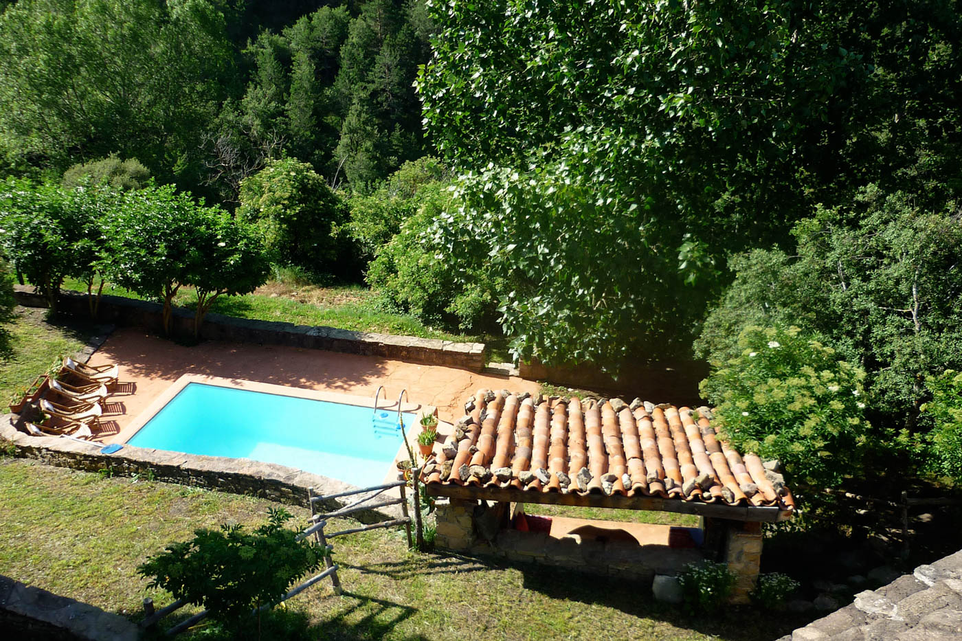 Pool with sunloungers in a forest setting